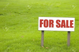 8634387_for_sale_sign_on_green_grass_stock_photo_sale_land (1).jpg